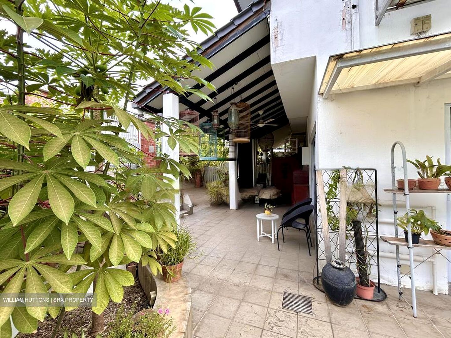 Chai Chee Road (D16), Terrace #479873751